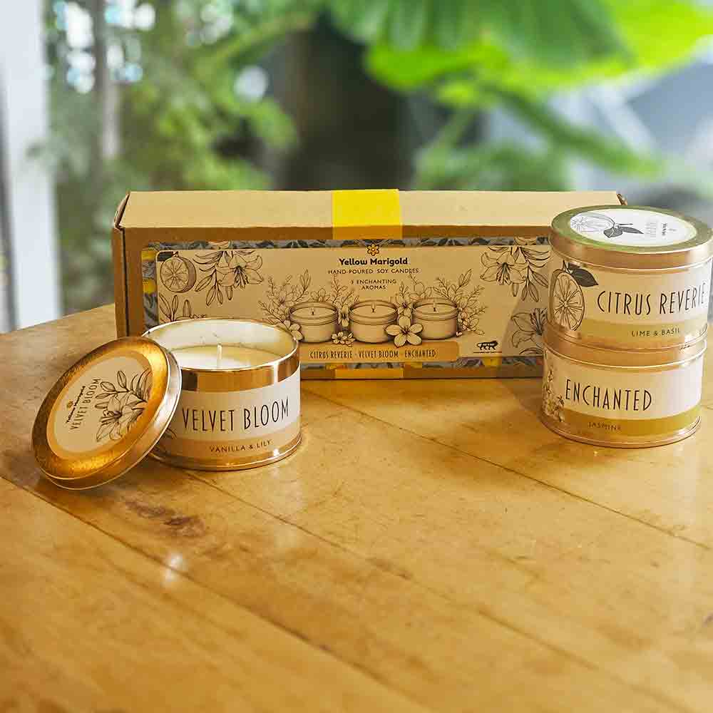 Detailed view of Three Soy Candle Tins in Stunning Gift Box – Yellow Marigold Soy Candle Set